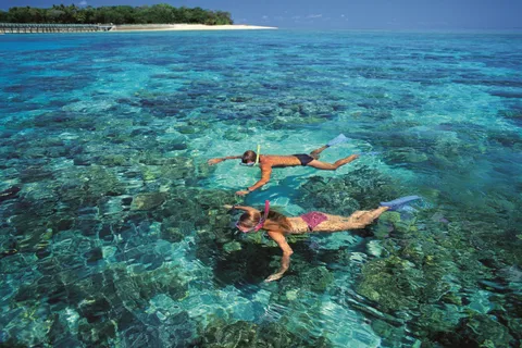 snorkeling great barrier reef